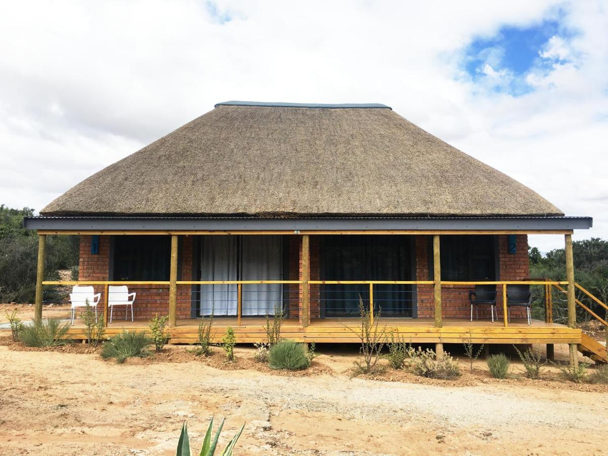 Klein Karoo Game Lodge Oudtshoorn Extérieur photo